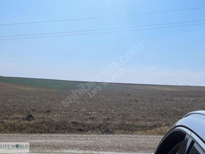 Konya, Cihanbeyli Zaferiye Köyü 53.081 M² Satılık Arazi.